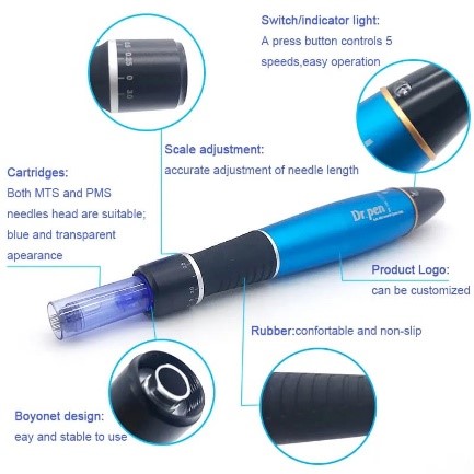 IMAGEN-DR+PENA1W-2